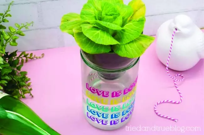 Recycled crafts CAN be totally useful like this adorable self watering mini-planter!