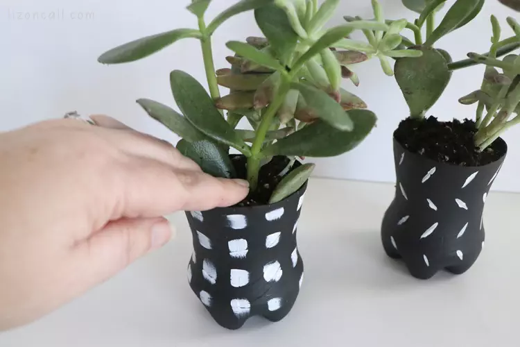 Recycled crafts from old soda bottles make cute planters for small plants or seedlings - come see how to make these in mere minutes!